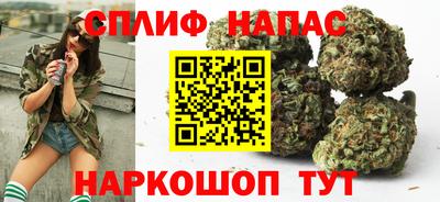 МДПВ Сланцы