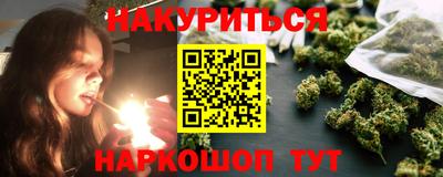 сатива Славгород