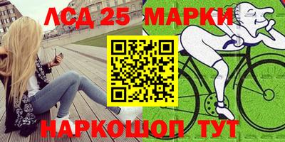 сатива Славгород