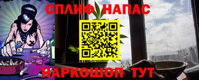 сатива Славгород