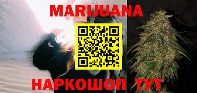 сатива Славгород