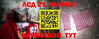 сатива Славгород