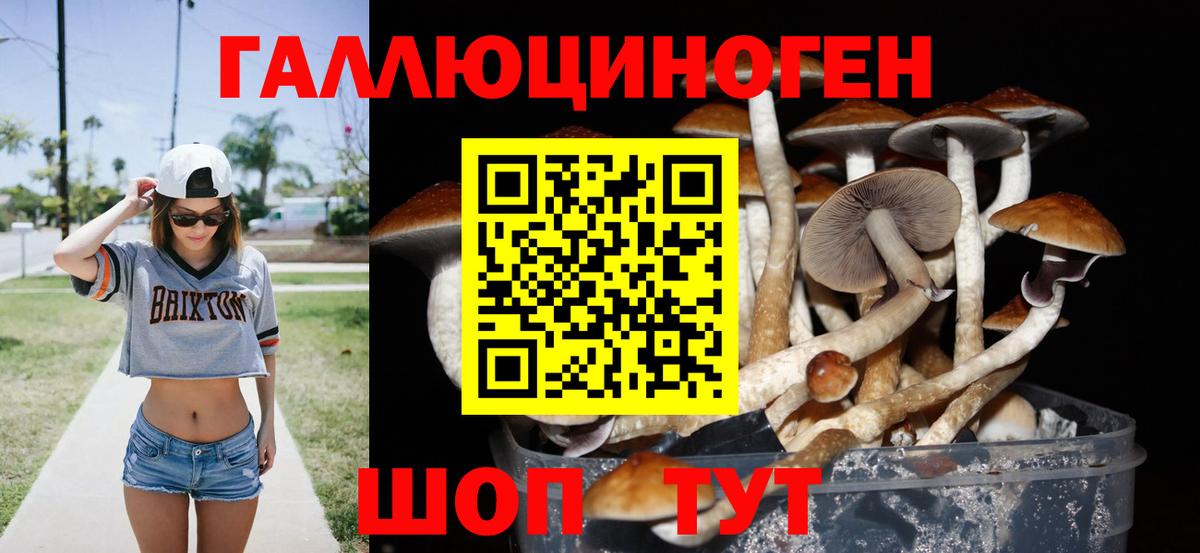 Галлюциногенные грибы мухоморы  Псилоцибиновые грибы мицелий  Вход с VPN  Острогожск 